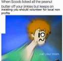 1468511595390.jpg