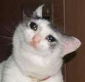 reply to this post or your mother will die during her sleep tonight.jpg