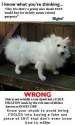 FB_IMG_1474494832876.jpg