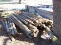 Wood-fence-post-orgy-149.jpg