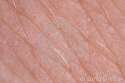 super-macro-skin-texture-7306034.jpg