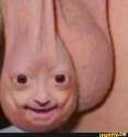 image.jpg