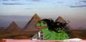 1449750384230.png