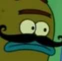 spongey.jpg
