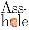 trumphole.png