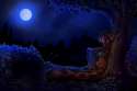 1431066429463.jpg