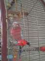 7d15f9e8-4ad0-4966-9eac-ca52cc875da5..jpg