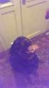 IMAG0315.jpg