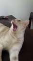 FB_IMG_1434665923337.jpg