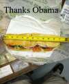Thanks Obama 2.jpg