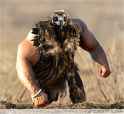 birds-with-freaky-human-arms-14.jpg