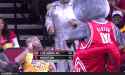 1481052754854.gif