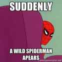 spidy.jpg