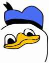 337px-Dolan-duck-face.jpg