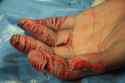 papercuts.jpg