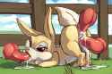 768848_Carrot_3000.jpg