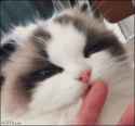 1474701902561.gif