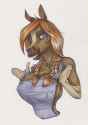 1465592989.furryjibe_yay_or_neigh_-_by_thecrazydragon.png