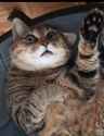 received_1416120538480127.jpg