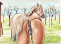1416642085.coypowers_corral.jpg