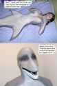 all-sharked-up.jpg