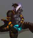 1402206331.arcticorange_lachlan.png