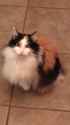 IMAG0177.jpg