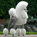 lakeside-poodle-encore_0[1].jpg