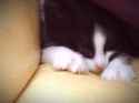 1398523730657.gif