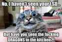 Dragons.jpg