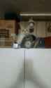 received_328024447546435.jpg