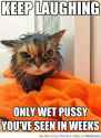 funny-cat-memes-15-364x500.jpg
