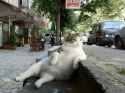 chillin.jpg