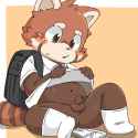 04227609c20c45cf6947f9711a229312.gif