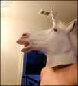 horsey toothy.gif
