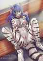 whitetigerbound.jpg