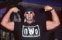 hollywoodhogan_original.jpg