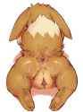 eevee6.png