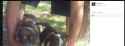 Screen Shot 2016-09-24 at 10.53.47 PM.png