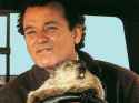 1380120248546.jpg