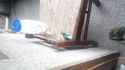 20160925_150355.jpg
