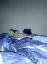 IMG_20160925_033608.jpg