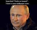 funny-putin-kawaii_1.jpg