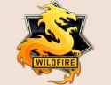 Csgo-opwildfire-badge.png