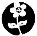 anarchyflower.jpg