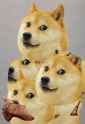 1474857378002.gif