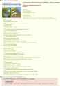 weed plus fapping equals a fuck up.jpg