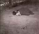 best-album-ever.jpg