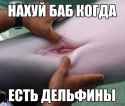 14207187427580.jpg