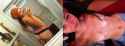 Comb26092016011336.jpg